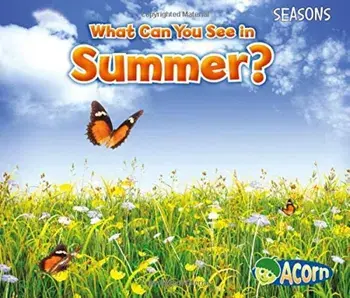 What Can You See in Summer', Paperback/Sian Smith