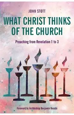 What Christ Thinks of the Church: Preaching from Revelation 1 to 3 - John Stott