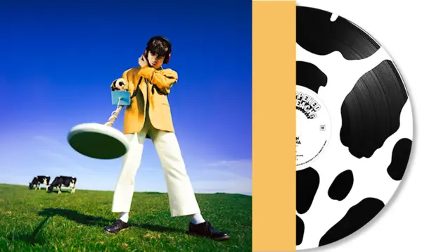 What Happened to the Beach? (Black & White Vinyl) | Declan McKenna