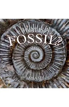 What is a Fossil? - Anna Stiles