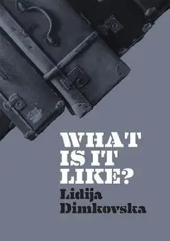 What Is It Like?, Paperback/Lidija Dimkovska