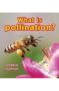 What Is Pollination? - Bobbie Kalman