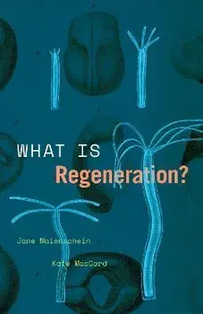 What Is Regeneration?, Paperback/Kate MacCord