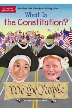 What Is the Constitution? - Patricia Brennan Demuth