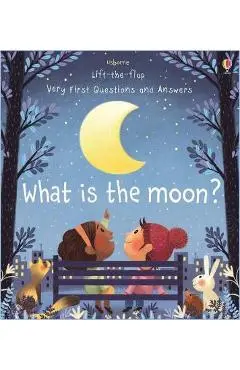 What is the Moon? - Katie Daynes