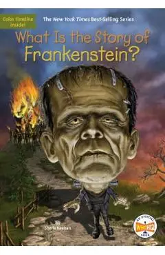 What Is the Story of Frankenstein? - Sheila Keenan