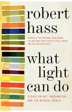 What Light Can Do PB - Robert Hass