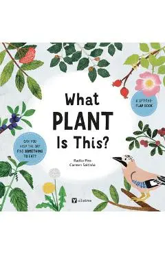 What Plant Is This? - Radka Piro