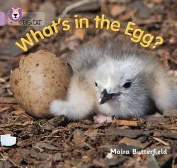 What's in the Egg?. Band 00/Lilac, Paperback/Moira Butterfield