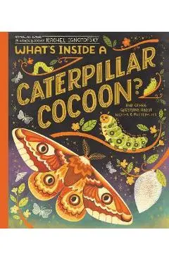 What's Inside a Caterpillar Cocoon?: And Other Questions about Moths & Butterflies - Rachel Ignotofsky