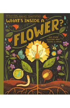 What's Inside a Flower?: And Other Questions about Science & Nature - Rachel Ignotofsky