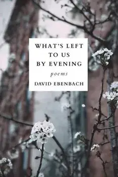 What's Left to Us by Evening, Paperback/David Ebenbach