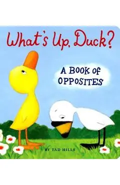 What's Up, Duck?: A Book of Opposites - Tad Hills