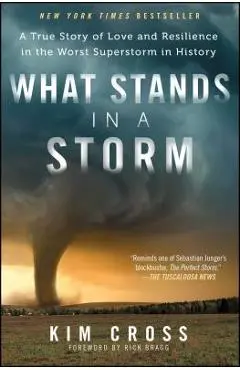 What Stands in a Storm: A True Story of Love and Resilience in the Worst Superstorm in History - Kim Cross
