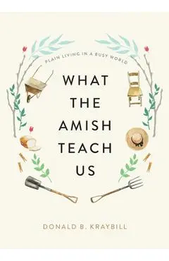 What the Amish Teach Us: Plain Living in a Busy World - Donald B. Kraybill