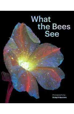 What the Bees See: A Honeybee's Eye View of the World - Craig P. Burrows