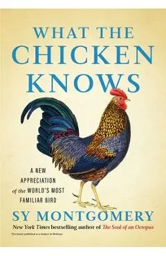 What the Chicken Knows: A New Appreciation of the World's Most Familiar Bird - Sy Montgomery