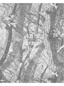 What the Rain Might Bring, Hardback/Dylan Hausthor
