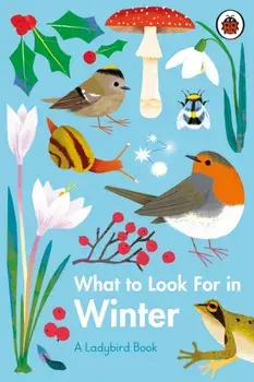 What to Look For in Winter, Hardback/Elizabeth Jenner