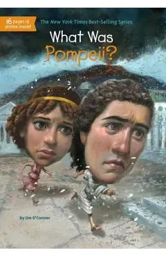 What Was Pompeii? - Jim O'connor