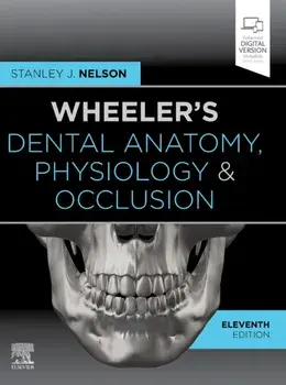Wheeler's Dental Anatomy, Physiology and Occlusion, Hardback/Stanley J. Nelson