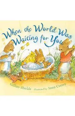 When the World Was Waiting for You - Gillian Shields