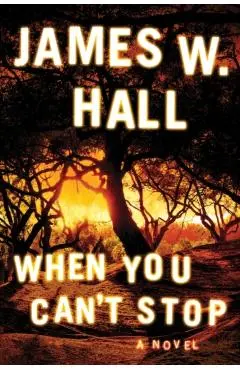 When You Can't Stop - James W. Hall