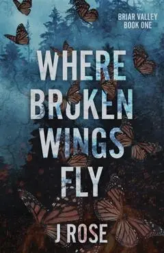 Where Broken Wings Fly - J. Rose
