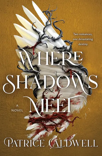 Where Shadows Meet