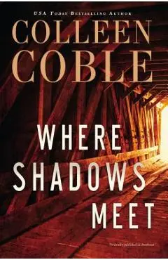 Where Shadows Meet: A Romantic Suspense Novel - Colleen Coble