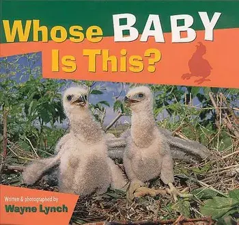 Whose Baby Is This?, Paperback/Wayne Lynch