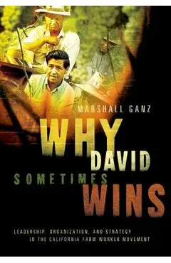 Why David Sometimes Wins: Leadership, Organization, and Strategy in the California Farm Worker Movement - Marshall Ganz