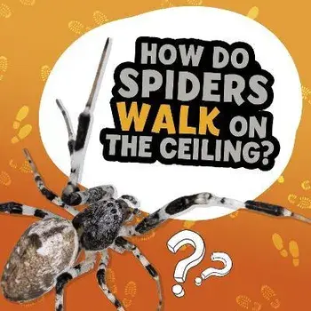 Why Do Flies Like Gross Stuff?, Paperback/Ellen Labrecque