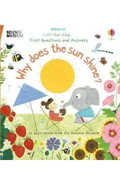 Why Does the Sun Shine?