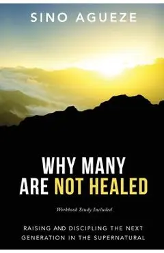 Why Many Are Not Healed: Raising and Discipling the Next Generation in the Supernatural - Sino Agueze