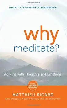 Why Meditate', Paperback/Matthieu Ricard