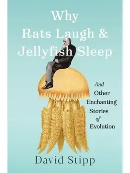 Why Rats Laugh and Jellyfish Sleep. and Other Enchanting Stories of Evolution, Hardback/David Stipp