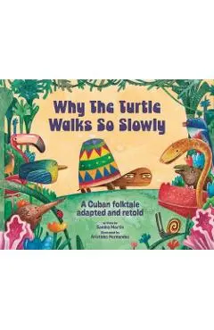 Why the Turtle Walks So Slowly - Sandra Martín Denis