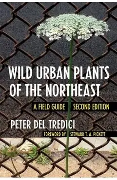 Wild Urban Plants of the Northeast: A Field Guide - Peter Del Tredici