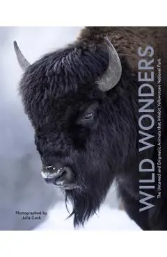 Wild Wonders - Julia Cook