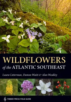 Wildflowers of the Atlantic Southeast, Paperback/Laura Cotterman
