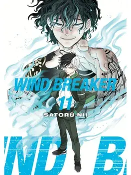 WIND BREAKER 11, Paperback/Satoru Nii