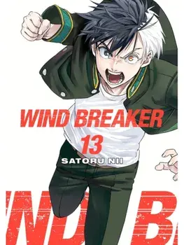 WIND BREAKER 13, Paperback/Satoru Nii