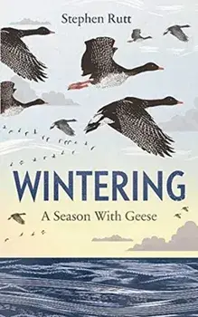 Wintering. A Season With Geese, Paperback/Stephen Rutt