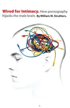 Wired for Intimacy: How Pornography Hijacks the Male Brain - William M. Struthers