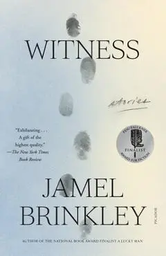 Witness: Stories - Jamel Brinkley