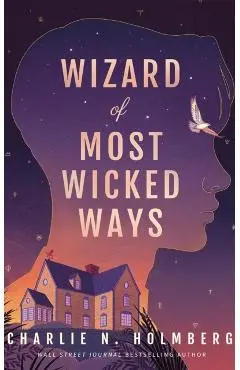 Wizard of Most Wicked Ways - Charlie N. Holmberg