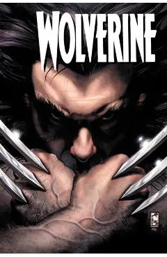 Wolverine: The Death And Life Of Sabretooth - Jeph Loeb
