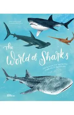 World of Sharks - Darcy Dobell