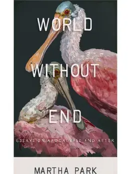 World Without End. Essays on Apocalypse and After, Hardback/Martha Park